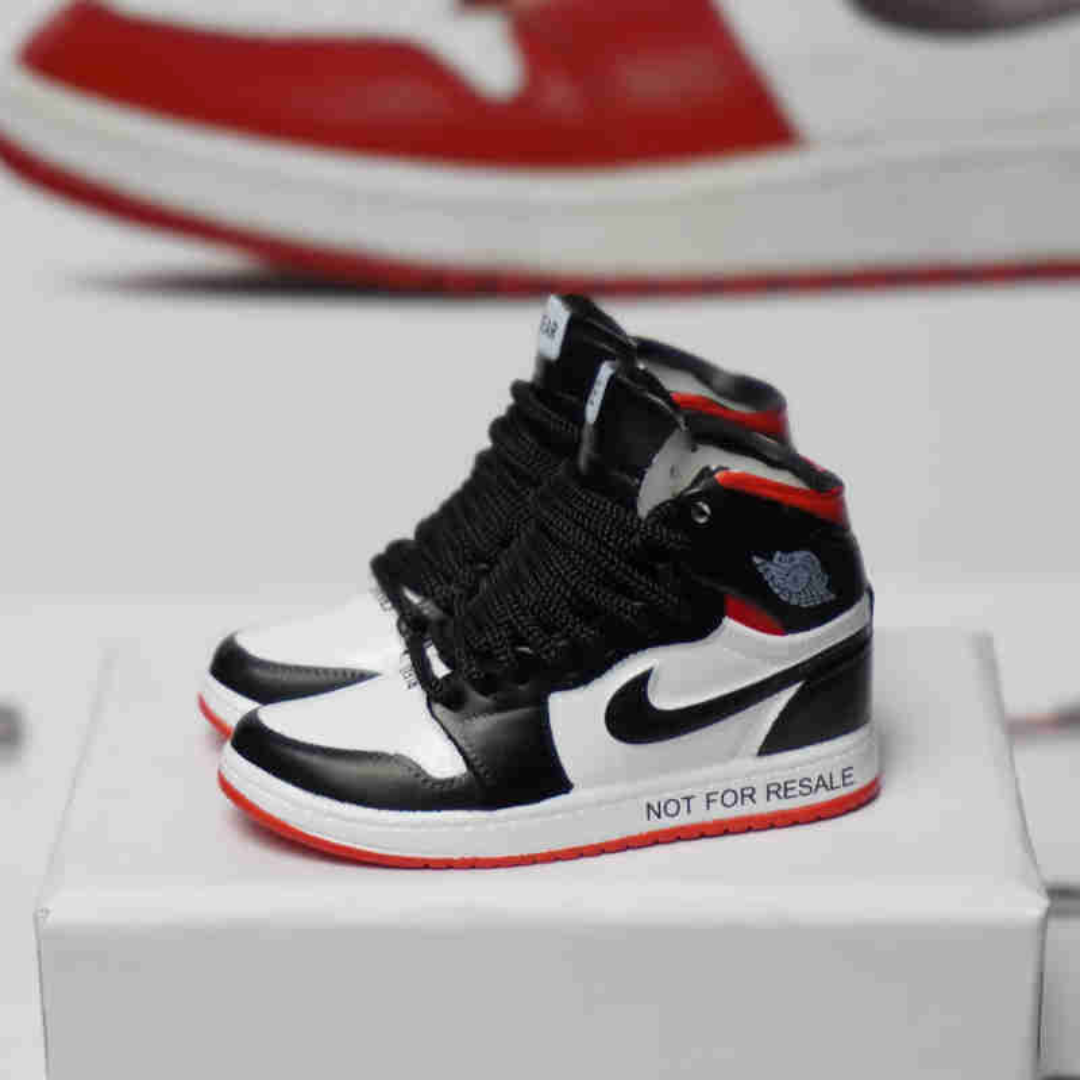 3D Sneaker Keyring Nike | Jordans