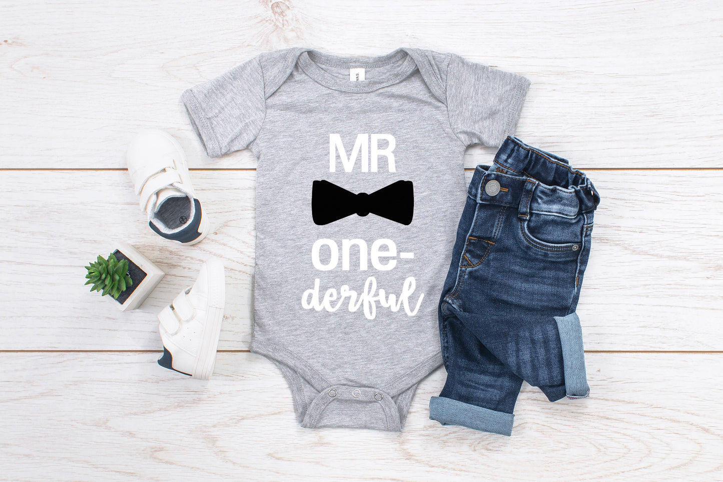 Baby First Birthday Romper/ T-Shirt "Mr One-derful"