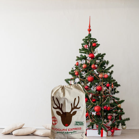 Rudolph Express Personalised Santa Sack